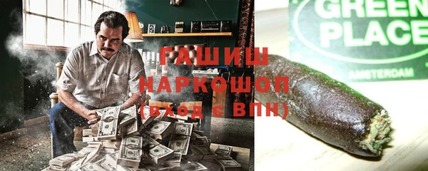 гашик Бородино