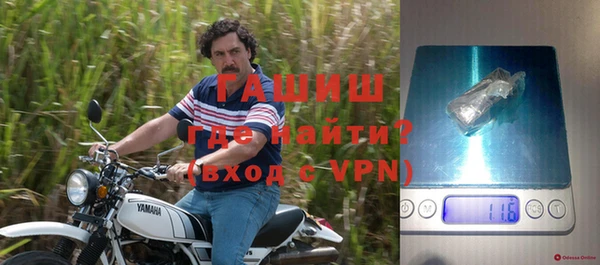 гашик Бородино