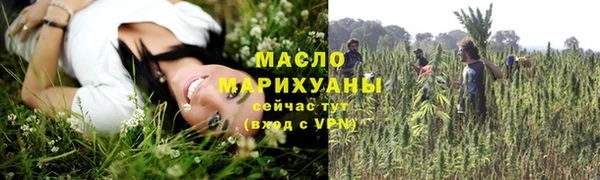 гашик Бородино